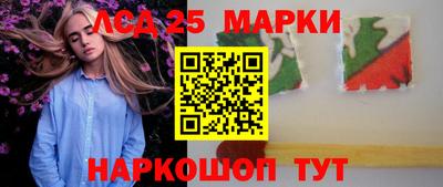 дмт Майкоп