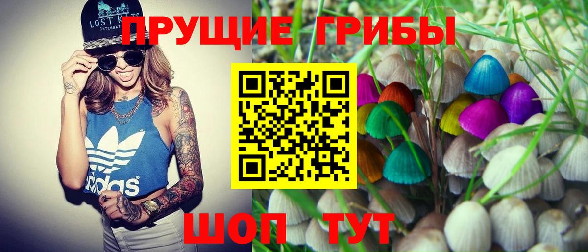 Псилоцибиновые грибы Psilocybe  Вход с VPN  Коломна 